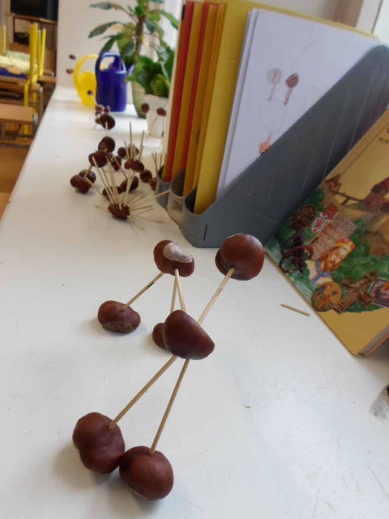 SAM_0805