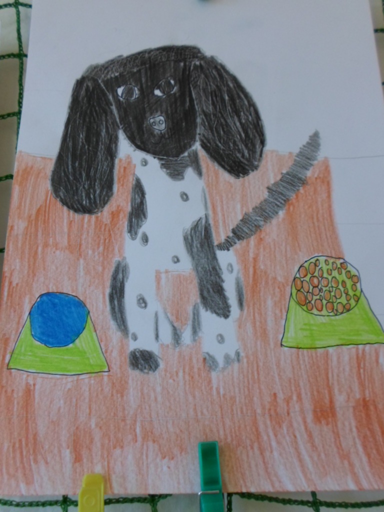 SAM_1479