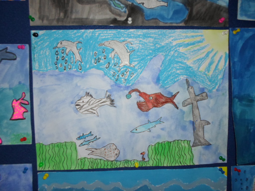 SAM_0611